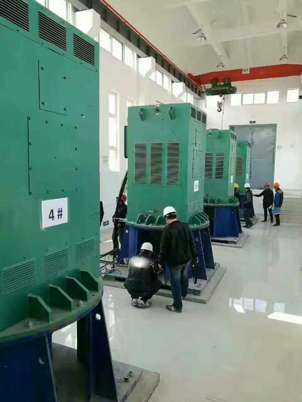 YE5-3553-6某污水处理厂使用我厂的立式高压电机安装现场