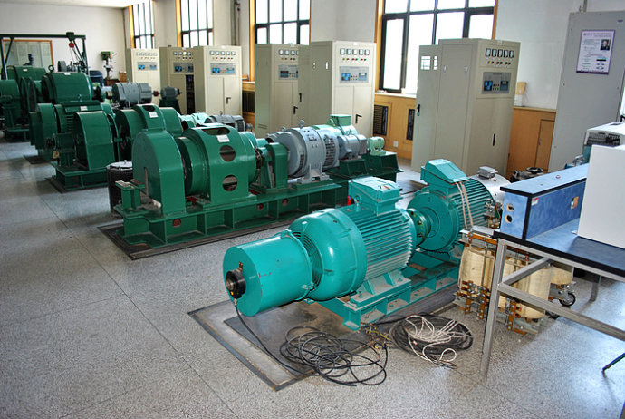 YE5-3553-6某热电厂使用我厂的YKK高压电机提供动力