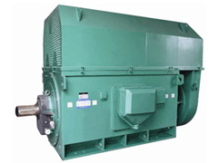 YE5-3553-6Y系列6KV高压电机