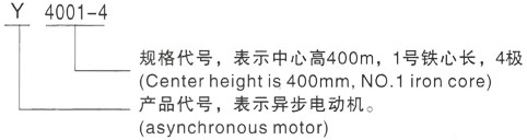 西安泰富西玛Y系列(H355-1000)高压YE5-3553-6三相异步电机型号说明